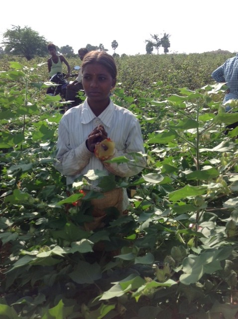 11 year-old girl, working in the cotton farm. She told me she actually wanted to attend school.