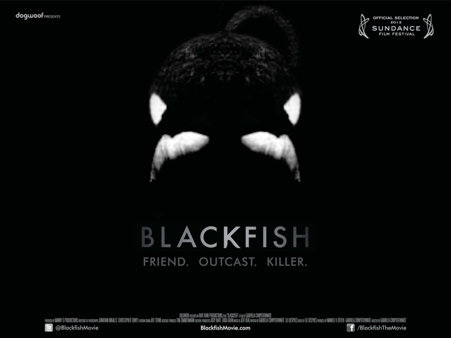 Blackfish_quad2
