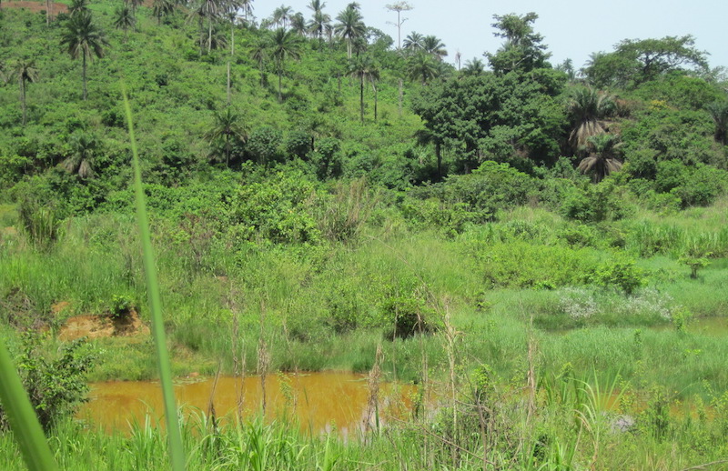 放棄された池（Photography：Chie Murakami, 2012, Kono, Sierra Leone）