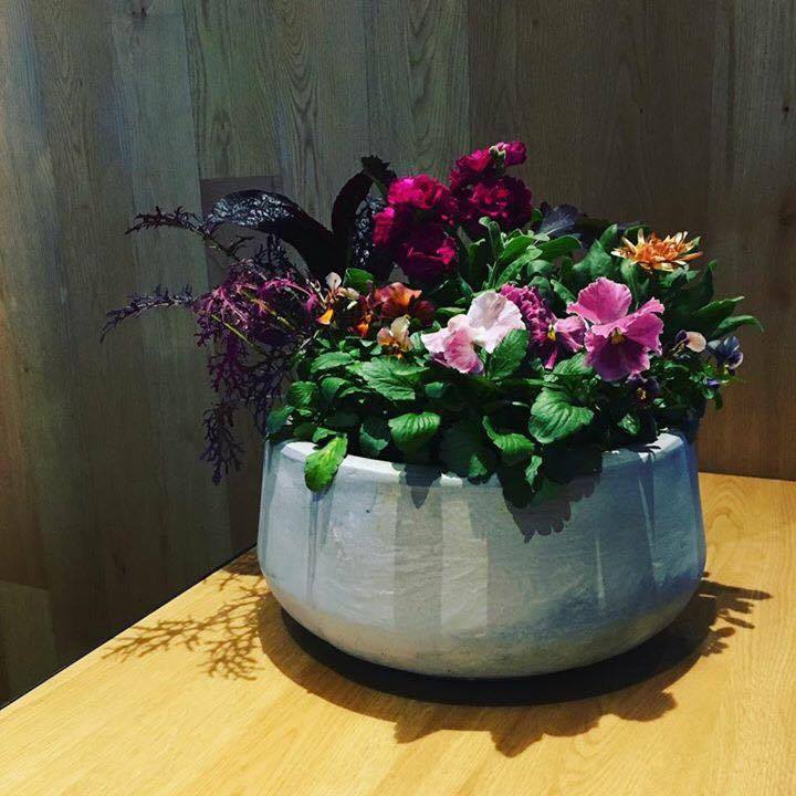 (提供:florist norikonagashima)