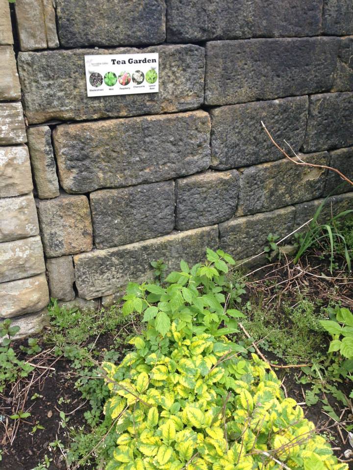 「Tea Garden」の小さなプレートが。どうやらここは、お茶にできるハーブが育てられているよう!